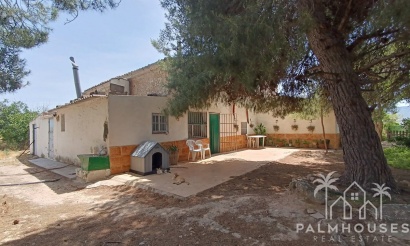Herverkoop - Country house - Yecla - Yecla Centro