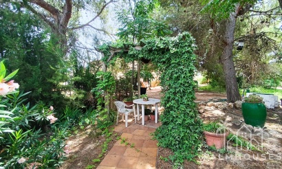 Herverkoop - Country house - Yecla - Yecla Centro