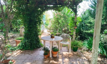 Herverkoop - Country house - Yecla - Yecla Centro