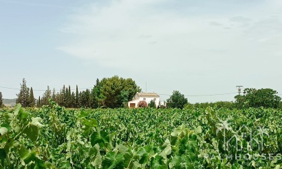 Herverkoop - Country house - Yecla - Yecla Centro