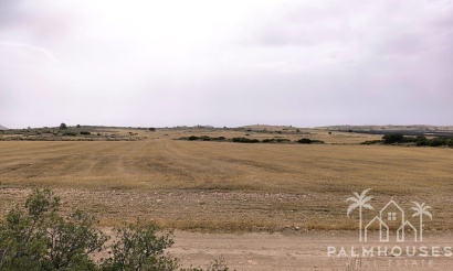 Herverkoop - Plot - Yecla - Yecla Centro