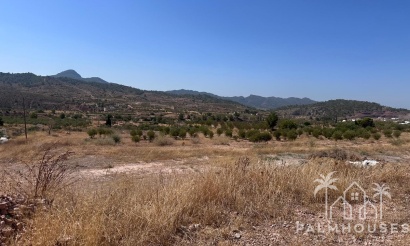 Herverkoop - Plot - Abanilla - Macisvenda