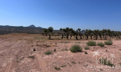 Herverkoop - Plot - Abanilla - Macisvenda