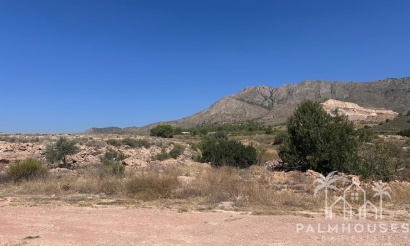 Herverkoop - Plot - Abanilla - Macisvenda