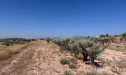 Herverkoop - Plot - Abanilla - Macisvenda