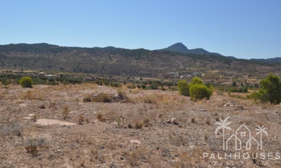 Herverkoop - Plot - Abanilla - Macisvenda