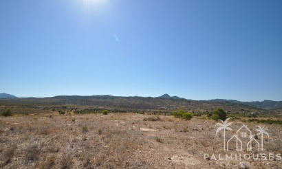 Herverkoop - Plot - Abanilla - Macisvenda