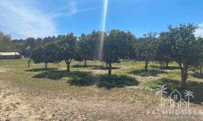 Revente - Villa - Guardamar del Segura - Guardamar del Segura Centro