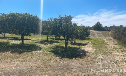 Revente - Villa - Guardamar del Segura - Guardamar del Segura Centro