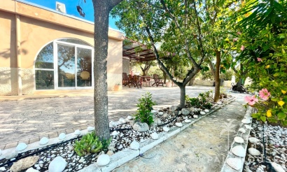Revente - Country house - Crevillente - Crevillent - Crevillente - Crevillent Centro