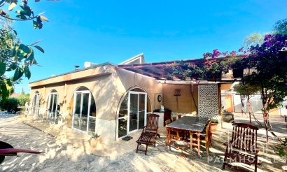 Revente - Country house - Crevillente - Crevillent - Crevillente - Crevillent Centro