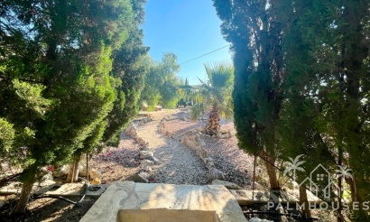 Revente - Country house - Crevillente - Crevillent - Crevillente - Crevillent Centro