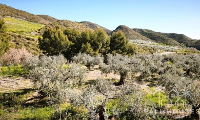 Herverkoop - Plot - Lorca - Lorca Centro