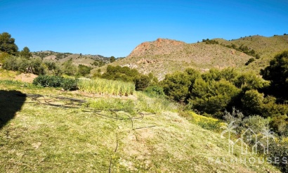Herverkoop - Plot - Lorca - Lorca Centro