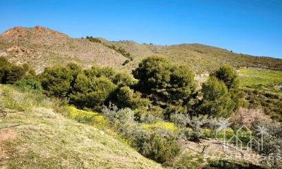 Herverkoop - Plot - Lorca - Lorca Centro