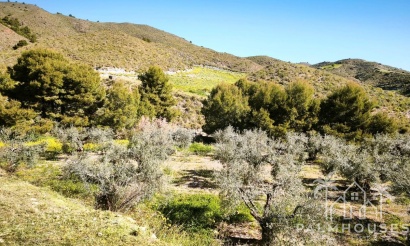 Herverkoop - Plot - Lorca - Lorca Centro