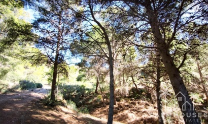 Herverkoop - Plot - Lorca - Lorca Centro