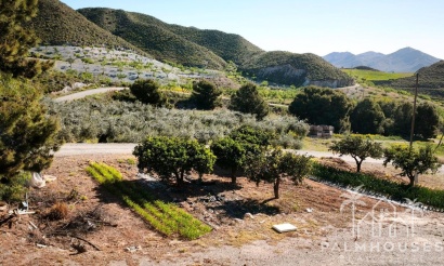 Herverkoop - Plot - Lorca - Lorca Centro