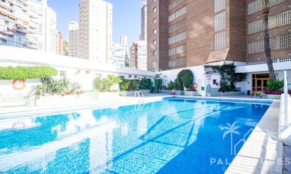 Herverkoop - Appartement - Benidorm - Benidorm Centro