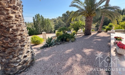Herverkoop - Villa - Algorfa - Algorfa Centro