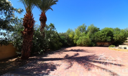 Venta - Villa - Catral - Catral Centro
