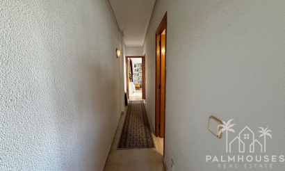 Revente - Apartment - Torrevieja - Torrevieja Centro