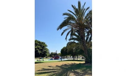 Revente - Apartment - Pilar de La Horadada - Torre de la Horadada