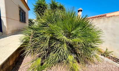 Resale - Villa - Torrevieja - Costa Blanca