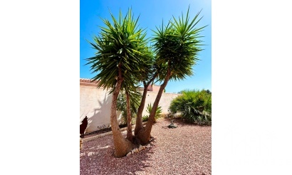 Resale - Villa - Torrevieja - Costa Blanca