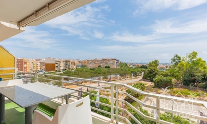 Herverkoop - Appartement - Torrevieja - Acequion
