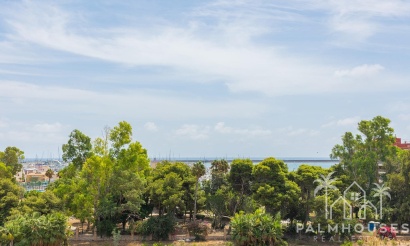 Herverkoop - Appartement - Torrevieja - Acequion