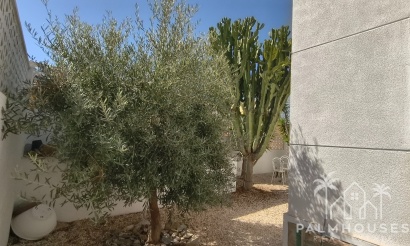 Venta - Villa - San Miguel de Salinas - Blue Lagoon