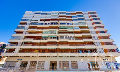 Revente - Apartment - Torrevieja - Torrevieja Centro