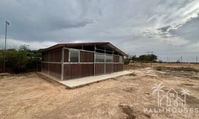 Revente - Finca - San Fulgencio - San Fulgencio - Country