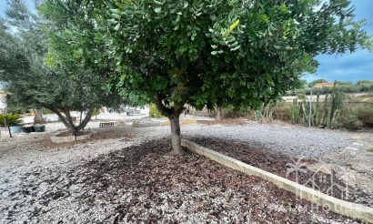 Revente - Finca - San Fulgencio - San Fulgencio - Country