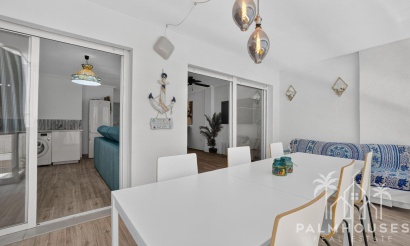 Herverkoop - Appartement - Torrevieja - Playa del cura