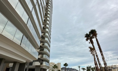 Revente - Apartment - Benidorm - Benidorm Centro