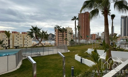 Revente - Apartment - Benidorm - Benidorm Centro