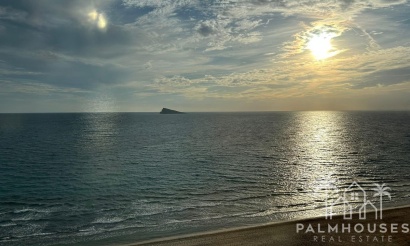 Revente - Apartment - Benidorm - Benidorm Centro