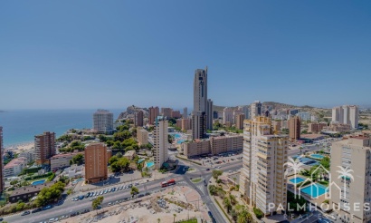 Revente - Apartment - Benidorm - Benidorm Centro