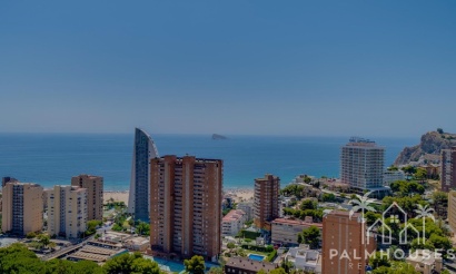 Revente - Apartment - Benidorm - Benidorm Centro