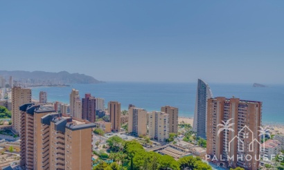 Revente - Apartment - Benidorm - Benidorm Centro