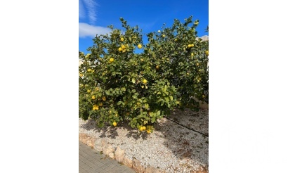 Herverkoop - Villa - Altea - Altea Centro