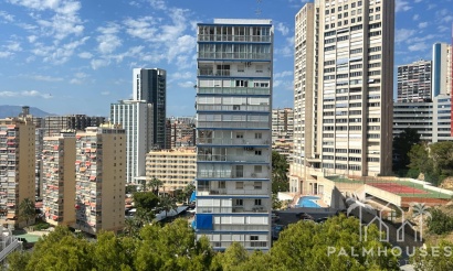Venta - Apartment - Benidorm - Benidorm Centro