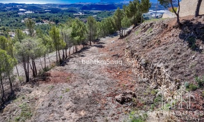 Venta - Plot - Callosa d'en Sarria - Callosa d'en Sarria Centro