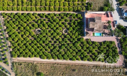 Revente - Villa - Orihuela - Orihuela Centro