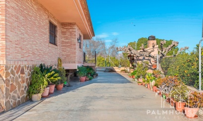 Revente - Country house - Beniel - Beniel Centro