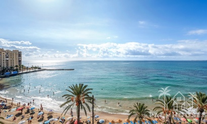 Venta - Apartment - Torrevieja - Torrevieja Centro
