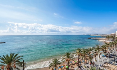 Venta - Apartment - Torrevieja - Torrevieja Centro
