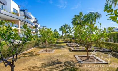 Revente - Apartment - Orihuela - Villamartin